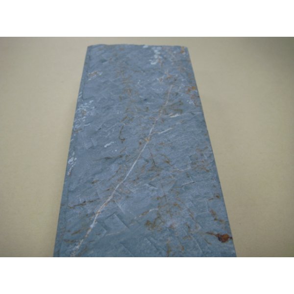 Photo9: Uchigumori 40000 A (9)