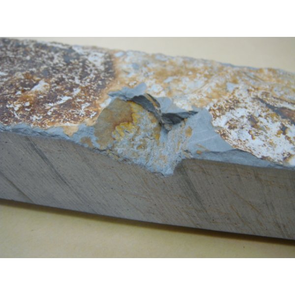 Photo6: Uchigumori 20000 C (6)